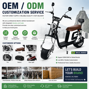 มอเตอร์ไซค์ดูดซับแรงกระแทกแบบคู่60V 1000W ทนทานต่อการกัดกร่อนตะขอตัว X16แรงบิดสูง - Product Image 5