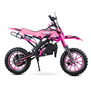 Motocross Pegasus 49cc à deux temps standard - <span class=keywords><strong>Moto</strong></span> tout-terrain à succès, vitesse de 35 à 40 km/h, démarrage par traction, charge de 75 kg, consommation de 20 km/L - Product Image 4