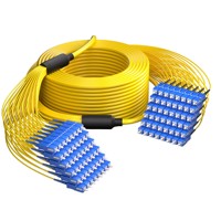 Customized 8 12 24 48 Fibers OS2 Single Mode LC SC FC LSH Indoor Tight Buffered Multi Fiber Breakout Cable CE ROHS CPR Cca B2ca