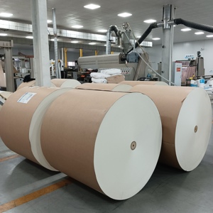 ม้วนกระดาษเคลือบ PE แบบสองหน้า/หน้าเดียว - Product Image 1
