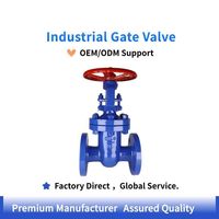 Válvula de Compuerta de Vástago Ascendente con Brida DIN/ANSI/JIS de Hierro Fundido/Acero al Carbono PN16, Válvula de Cierre Industrial para Agua, Vapor y Petroquímicos