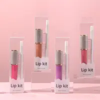 Kit Lip Kit Kosmetik Matte 49 Warna, Kit Liner Label Pribadi Berkilau Lipgloss Cair