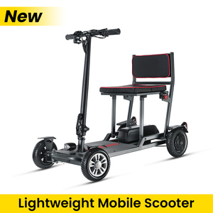 Scooter Eléctrico Certificado CE de 4 Ruedas, Motor de 36V 300W, Alcance de 25KM, Diseño Plegable, Batería de Litio, Seguro para Personas Mayores - Product Image 1