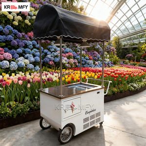 Tricycle mobile de rue 2025 pour la vente rapide de glaces, chariot congélateur, chariot de café, bar à bière, tricycle électrique pour l'Europe - Product Image 3