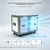 Équipement de congélation mobile commercial de petite taille avec capacité de 140 L, congélateur à grand conteneur, moteur double tension, panneau solaire