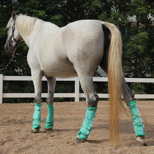 Custom Horse Fly Boots Set Equine Leg Protection Leggings Guard Horse Leg Wraps Transpirable Malla fina Equine Fly Protective - Product Image 5