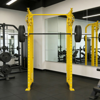 Nouvelle version de rack à squats mural en acier inoxydable avec pile de poids de 70 kg, cage de musculation pliable pour la salle de sport, la remise en forme et la musculation