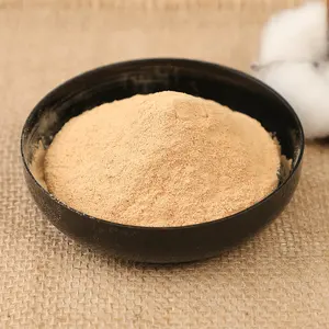 Профессиональный производитель, Высококачественный чистый натуральный порошок папайи, органический мгновенный сублимационный сушеный фруктовый и овощной порошок - Product Image 1