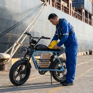 48V Elektrofahrrad mit 20-Zoll-Reifen, Harbor E-Bike für Hafeninspektion - Product Image 4