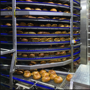 Nieuw Ontwerp Grote Capaciteit Food Grade Spiraalvormige Vriezer Voor Pizza/Brood/Koekjes Pizza Koeling Spiraal Transportband - Product Image 6