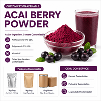 Extrait de fruit d'açaï soluble dans l'eau, pur et naturel, de qualité alimentaire, en poudre, issu de baies d'açaï, extrait par solvant