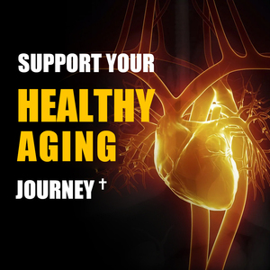 Gélules de CoQ10 personnalisées en usine avec coenzyme pour stimuler la santé cardiaque, soutenir la fonction énergétique cellulaire, capsules molles sans gluten - Product Image 3