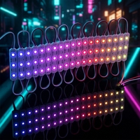 WS2811 5050 RGB Módulo de luz LED Direccionable 12V 75*15mm Tamaño a todo color Impermeable IP65 3LED 5W Potencia Rosa Emisión