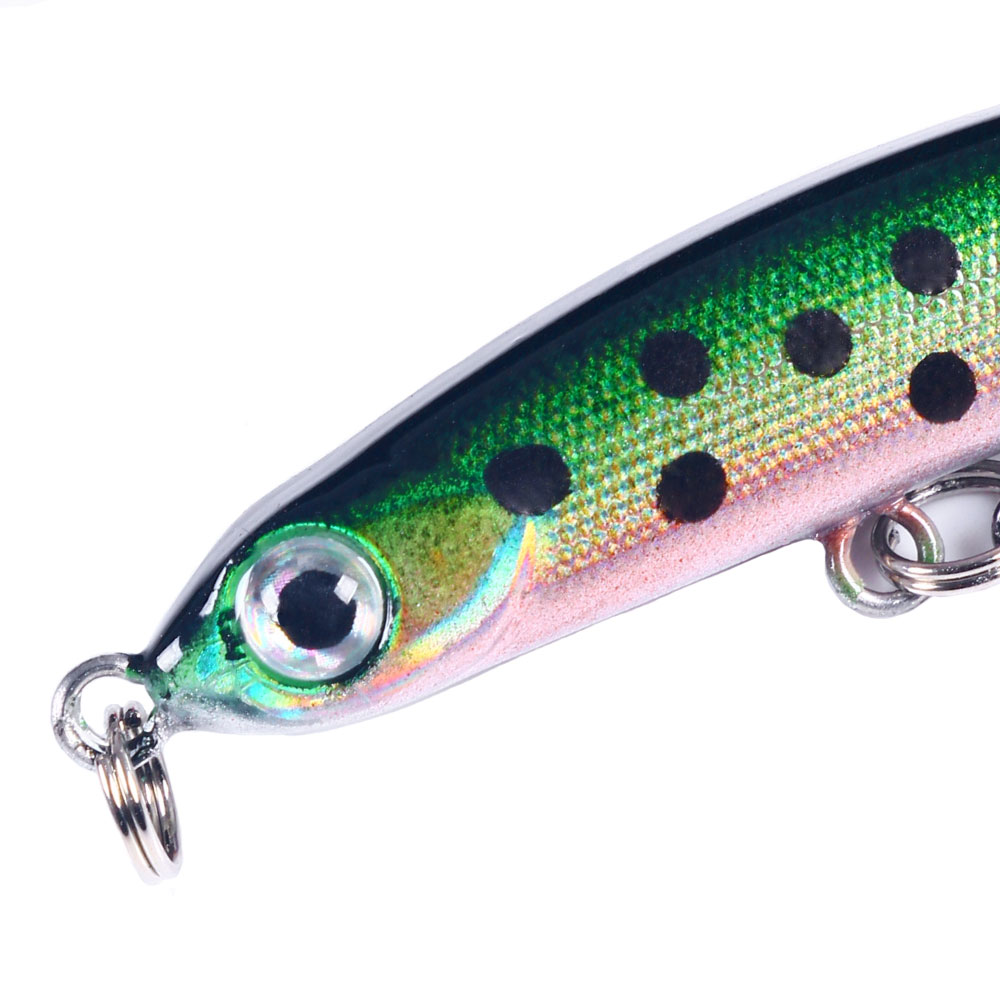 12 Vers Souples Wacky Baits – 6 Pouces – Couleur Racine Bière – Leurre Pêche Bass