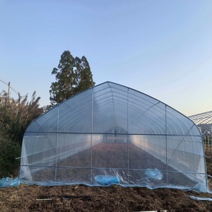 Grande <span class=keywords><strong>serre</strong></span> agricole à tunnel haut pour la culture de la <span class=keywords><strong>tomate</strong></span>, <span class=keywords><strong>serre</strong></span> verte - Product Image 1