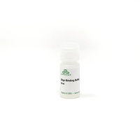 Kit de Concentration Rapide Oligo Clean pour ADN ARN ≥16 Nt QPCR NGS