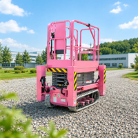 Plateforme élévatrice à ciseaux automotrice sur chenilles sûre et fiable pour l'élagage des arbres et l'entretien des quais