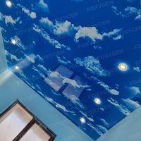 Film décoratif MSD PVC brillant pour plafond tendu, film MSD PVC pour faux plafond intérieur, plafond tendu bleu ciel brillant