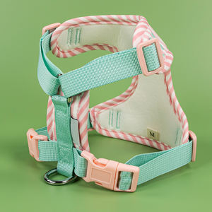 Kain lembut warna-warni dan anyaman Mesh kontrak warna bernapas Platice atau aksesoris logam untuk berjalan anjing <span class=keywords><strong>Harness</strong></span> - Product Image 2