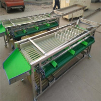 Automatische Appelsortering Aardappeldata Bosbessen Fruit Sorteermachine