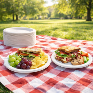 Assiettes biodégradables et compostables en pulpe de canne à sucre de 6 pouces, assiettes jetables en bagasse, robustes, compatibles micro-ondes, écologiques - Product Image 5