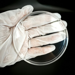 Disco/Placa Transparente de PMMA de 98 mm <span class=keywords><strong>para</strong></span> Fresado CAD/CAM, <span class=keywords><strong>para</strong></span> Corona Temporal - Product Image 4