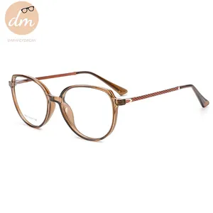 DS9002 Small Size Transparent Color Vintage Cat Eye TR90 With Metal Temple Optical Eye Glasses Frame