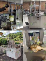 Zware-duty kokosnootschilmachine voor restaurants en fruitverwerking