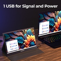 Moniteur portable à écran large de 15.6 pouces avec panneau IPS 1080P FHD LED Type C Interface pour usage professionnel
