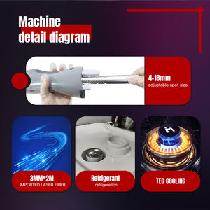 2024 láser de Alejandrita Nd YAG pulsado largo 755nm 1064nm máquina de Alejandrita láser de terapia láser de doble onda - Product Image 3