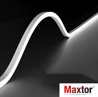 Bande lumineuse LED en silicone 24V étanche, vente directe usine, facile à installer, flexible, linéaire, en silicone souple