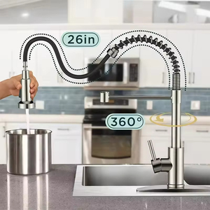 <span class=keywords><strong>Grifo</strong></span> <span class=keywords><strong>de</strong></span> <span class=keywords><strong>cocina</strong></span> comercial monomando <span class=keywords><strong>de</strong></span> un solo orificio para encimera, con <span class=keywords><strong>grifo</strong></span> extraíble y rociador <span class=keywords><strong>de</strong></span> resorte, para agua fría y caliente - Product Image 5