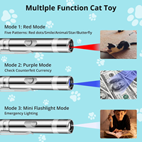 Vente en gros d'usine : Jouet d'entraînement pour chat et chien, écologique, avec lumière LED, baguette laser interactive USB pour animaux de compagnie, en métal