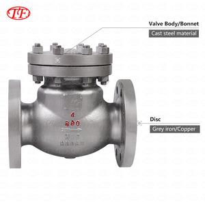 Tfj h44h <span class=keywords><strong>wcb</strong></span> Swing kiểm tra van không trở lại van cho wog hơi phương tiện truyền thông mặt bích loại PN16 pn25 pn40 class150 class300 - Product Image 2