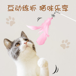En gros, Baguette de chatouillage télescopique à plumes, jouet sonore pour chat, avec manche en bois massif - Product Image 4