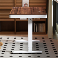 Bureau debout électrique avec tiroir, USB Type C, anti-collision, hauteur réglable, moderne pour la maison et le bureau