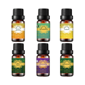 Ensemble cadeau d'huile essentielle naturelle pure de 10ml bouteille de diffuseur de roseau avec 6 humidificateurs organiques bâton de Massage de peau d'odeur fraîche - Product Image 3