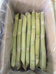 WHOLESALE FROZEN SUGARCANE WITH COMPETITIVE PRICE and HIGH QUALITY for EXPORT FROM VIETNAM - Product Image 2