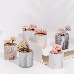 OEM personalizado Decoração Da Casa Pequeno Marmoreio Rodada Plantador Da Flor Vasos De Plantas de Cerâmica Vaso Conjunto