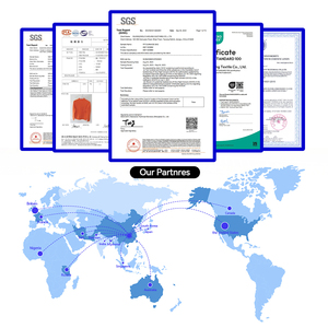 Offerta Speciale Liquidazione Senza Reso o Cambio, Difetti Minori, Pantaloncini Casual Stile Americano con Stampa a Lettere - Product Image 4