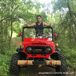 Véhicule d'assaut tout-terrain 300CC en coton, kart à quatre roues, moto tout-terrain, véhicule agricole, VTT/UTV, location pour zones touristiques - Product Image 4