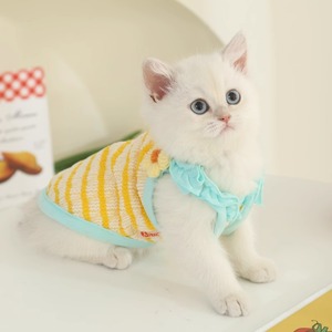 Débardeur rayé jaune à motifs floraux pour chaton, style printemps, design mignon, en polyester - Product Image 1