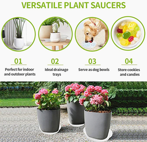 Soucoupes pour plantes claires 18 Pack (6/8/10 pouces) <span class=keywords><strong>bac</strong></span> à <span class=keywords><strong>fleurs</strong></span> égouttoir intérieur extérieur plantes soucoupes de jardin Pot de plantes soucoupe plateau - Product Image 2