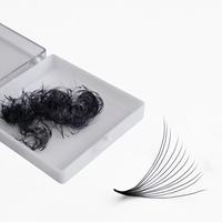 Oferta Especial: Extensiones de Pestañas 12D Puntiagudas al por Mayor, Fans Premade Sueltos 0.03 CC Curl con Bases Puntiagudas, Fans Premade Sueltos de Pestañas de Visón