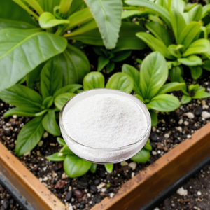 EDTA Mg Poudre de Magnésium Chélaté Organique Pureté 100% Engrais Solubilité 100% dans l'Eau pH 7-9 pour une Croissance Rapide des Cultures et des Plantes - Product Image 2