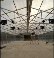 Serres en polycarbonate à portes coulissantes en feuille de plastique à faible tunnel