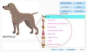 Analyseur de santé des animaux de compagnie Biophilia Guardian pour <span class=keywords><strong>les</strong></span> amoureux des animaux de compagnie, chien, chat, cheval, rapport personnalisé de bien-être NLS - Product Image 3