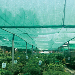 En gros Plants de Pepiniere Filet D'ombrage pour Plante - Product Image 1
