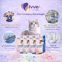 Silika Gel Premium untuk Pasir Kucing Kristal dengan Pengendalian Bau yang Kuat untuk Perlengkapan Hewan Peliharaan Grosir