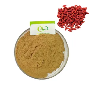 OEM HALAL factory price high quality wholesale goji berries extract plant powder